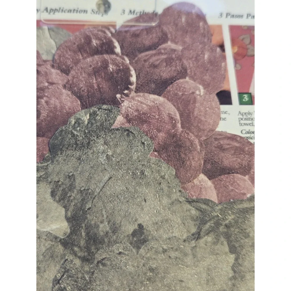 Lot of 2 Wallies Tuscan Grapes Wallpaper Cutouts #12146 New Sealed Pre-Pasted